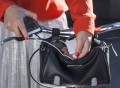 Fulton Powered Handlebar Bag