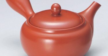 Tokoname Fukamushi Mesh Kyusu Tea Pot by Koizumi