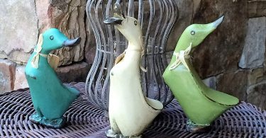 Wooden Duck Set