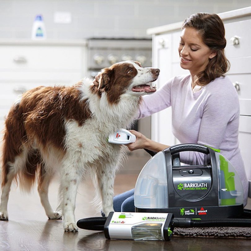 Bissell BarkBath Portable Dog Bath System