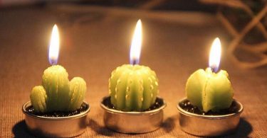 Cactus Candle 6PCS Set