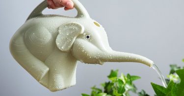 Elephant Watering Can