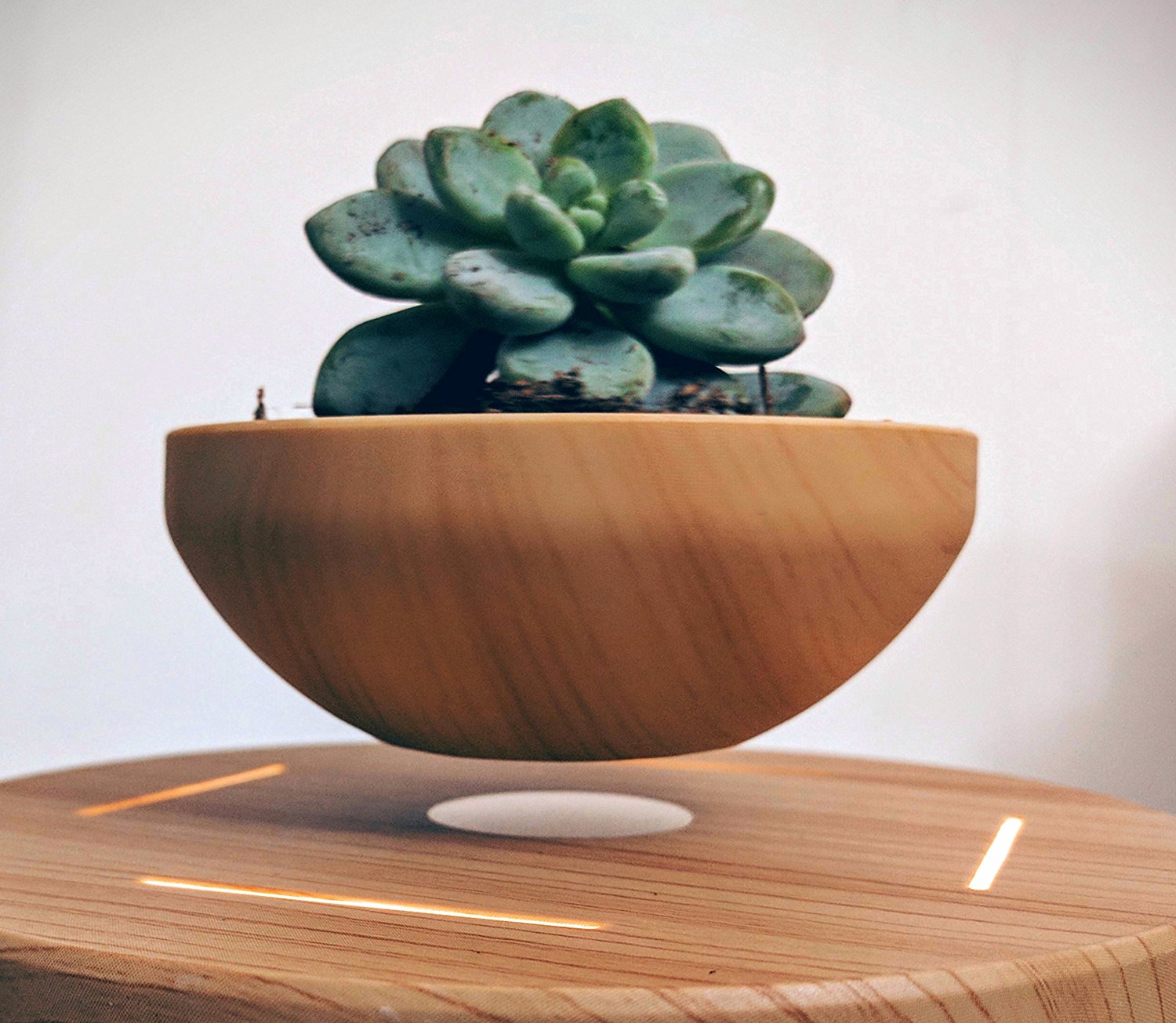 Levitating Air Bonsai Pot