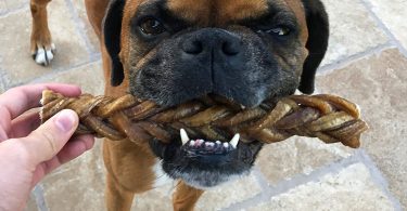 MONSTER Braided Bully Stick for Dogs