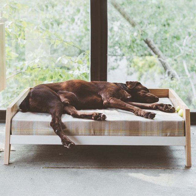 Winston Dog Bed
