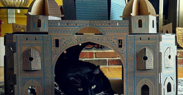 Taj Mahal Cat House