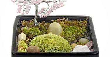 Zen Tree Garden