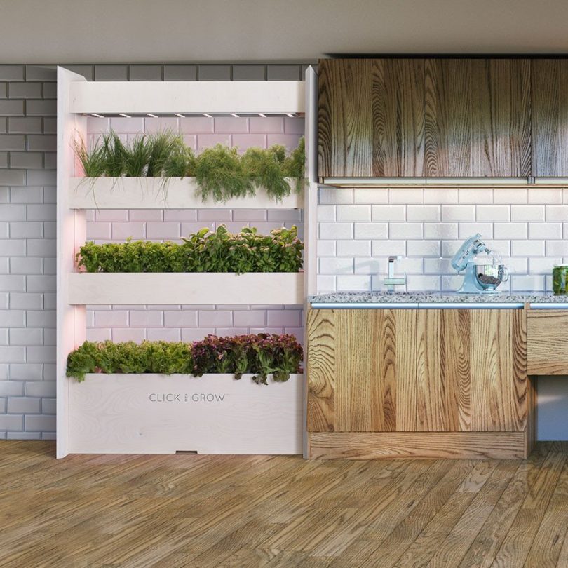 Click & Grow Wall Farm Indoor Vertical Garden
