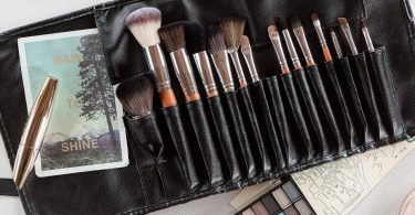 Palette Professional Makeup Brush Collection