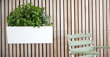 Glowpear Self Watering Mini Wall