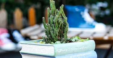 Book Flower Pots