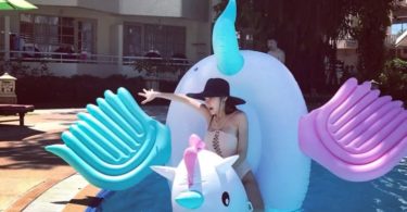 Pegasus Pool Float