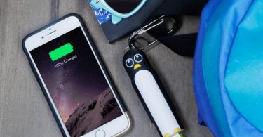 CHILL Penguin Power Bank