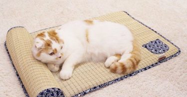 Tatami Cat Bed