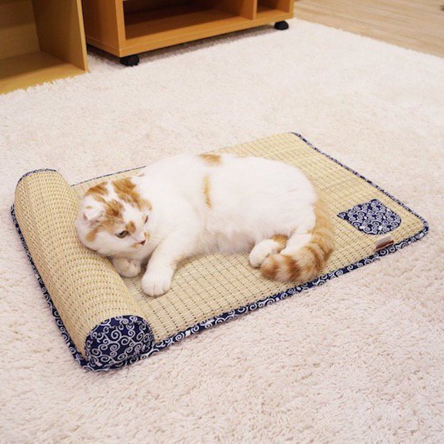 Tatami Cat Bed