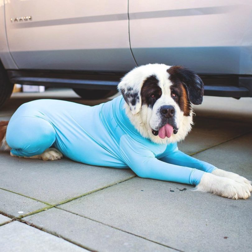 Shed Defender Dog Onesie Â» Petagadget