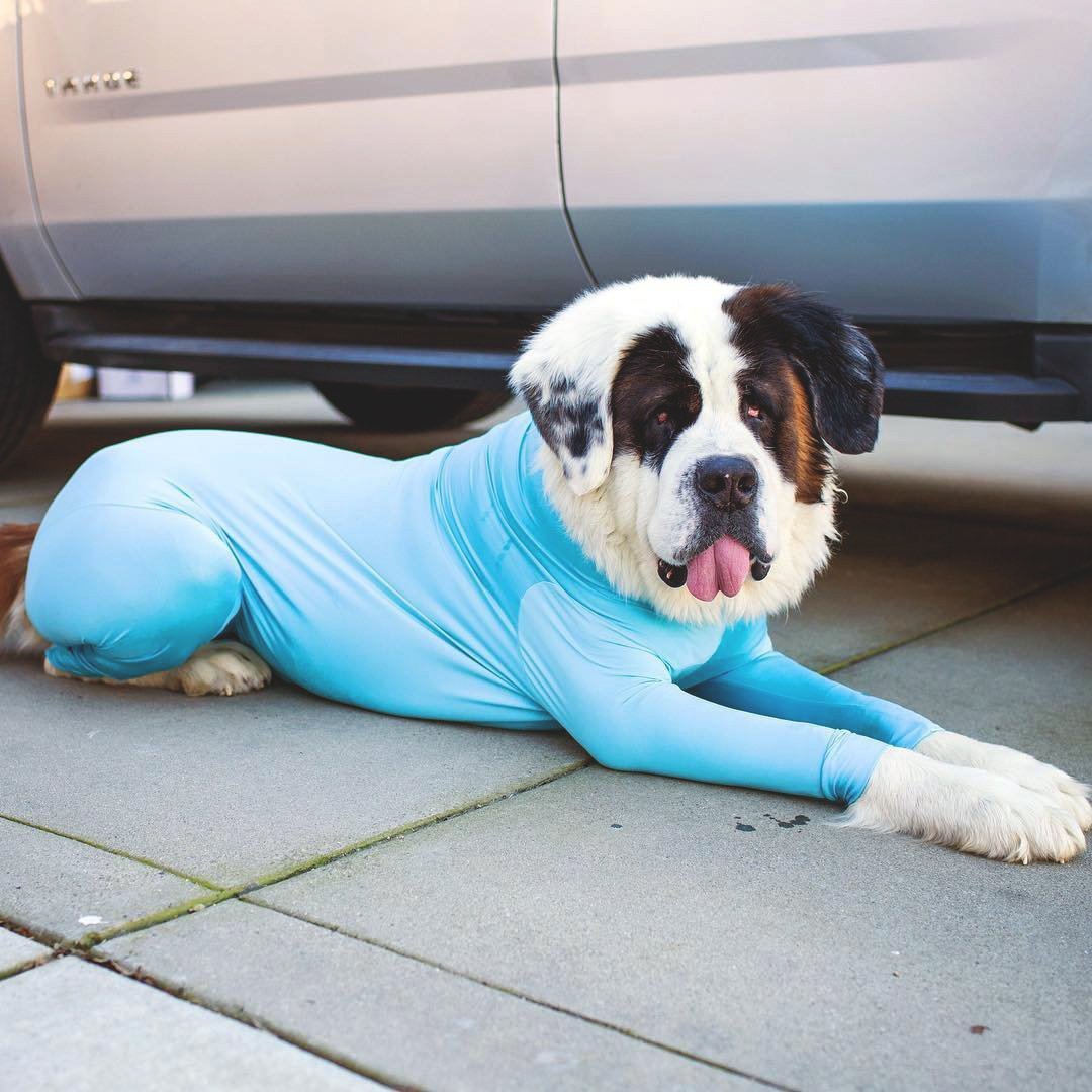 Shed Defender Dog Onesie