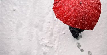 Red Heart Umbrella