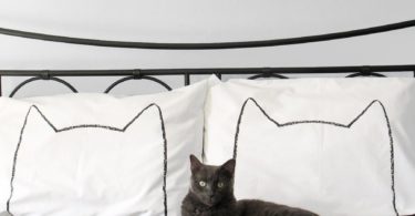 Cat Nap Pillowcase Set