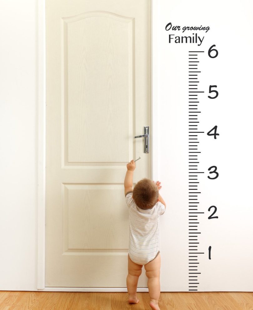 Ruler Growth Chart Decal