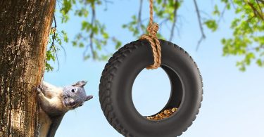 Fred SWING TIME Tire Swing Bird Feeder