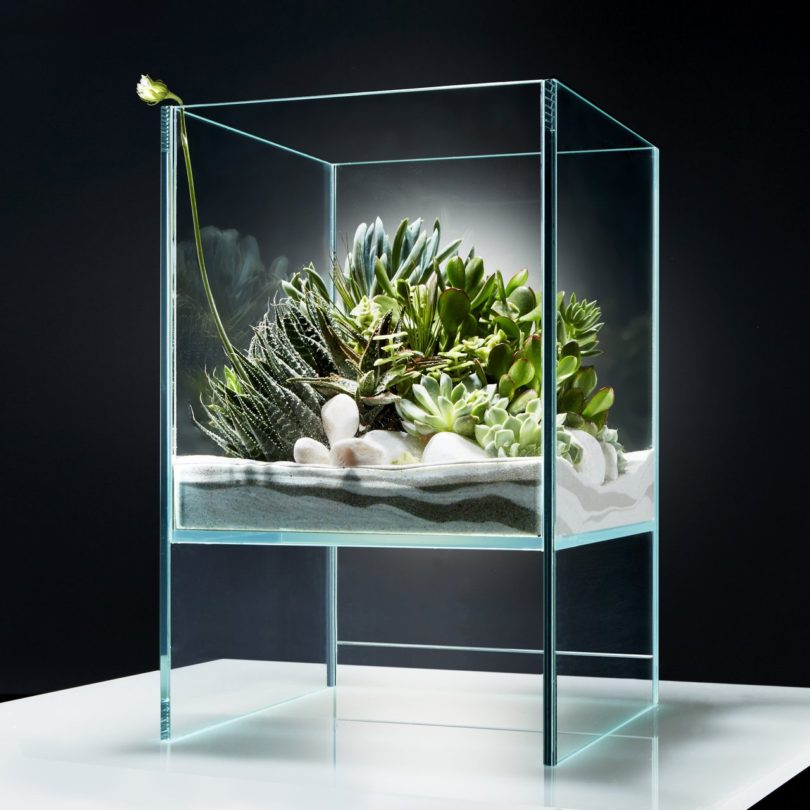 Elevate Vivarium by Okeanos