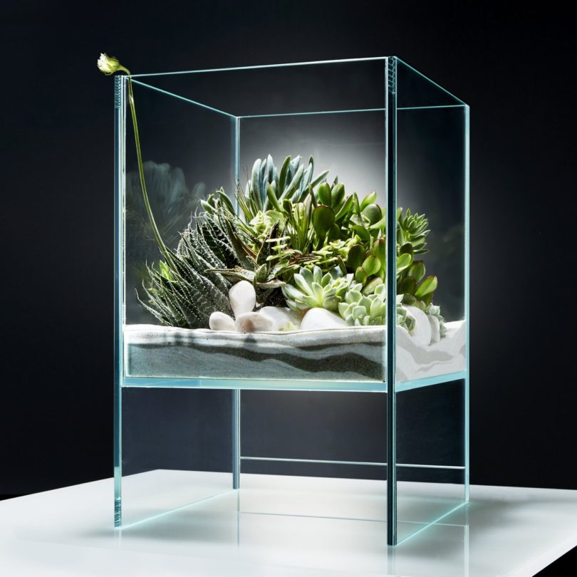 Elevate Vivarium by Okeanos