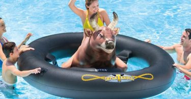 Inflat-A-Bull Pool Toy