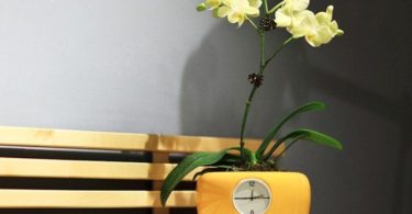 Clock Flowerpot