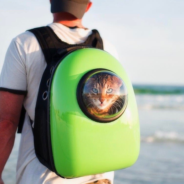 Bubble Pet Carrier Backpack