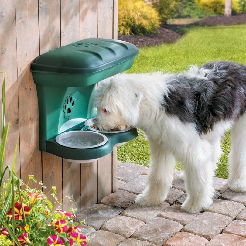 Wall-Mounted Elevated Dog Feeder