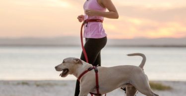 Road Runner Hands Free Leash