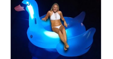 Giant LED Light-Up Swan Float