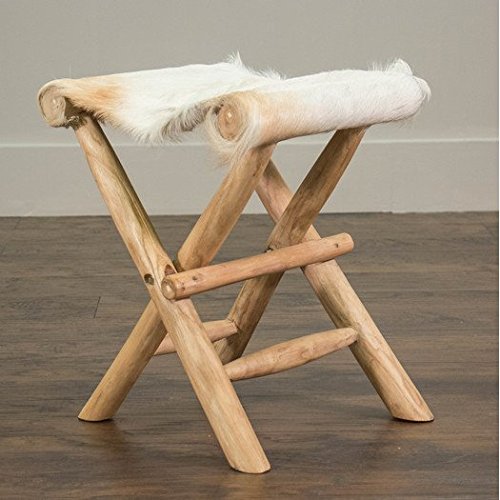 Contemporary Style Eagle Folding Stool