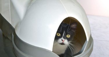 CatGenie Dome