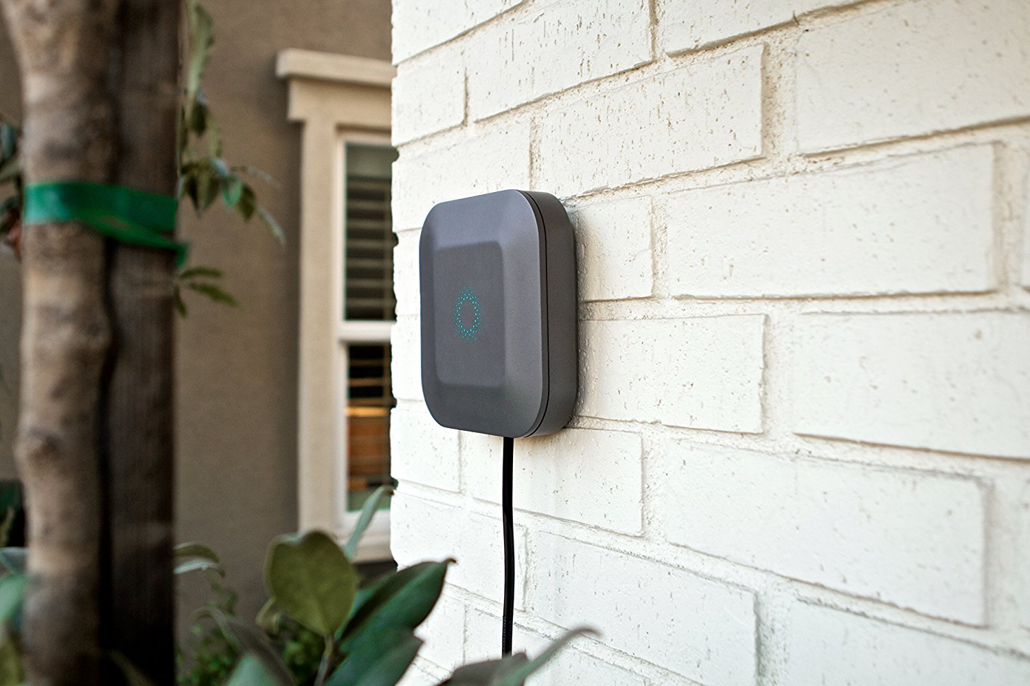 Blossom 12 Zone Smart Watering Controller with WiFi + Powerline