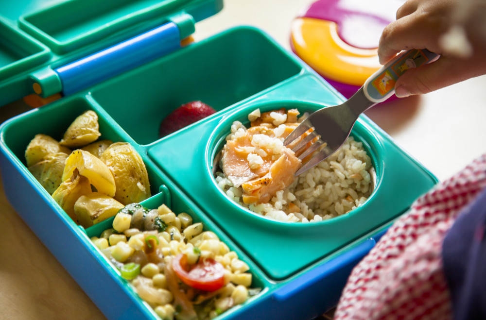 omiebox bento box with insulated thermos for kids