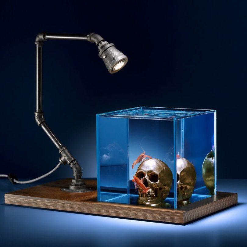 Gold Skull Aquarium