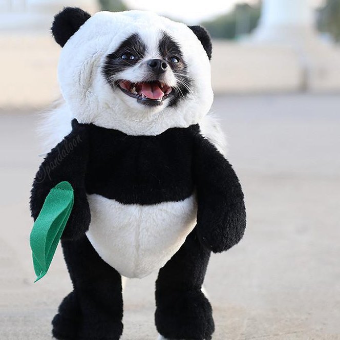 Panda Puppy Costume
