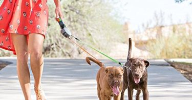 Wigzi Dual Doggie Retractable Leash