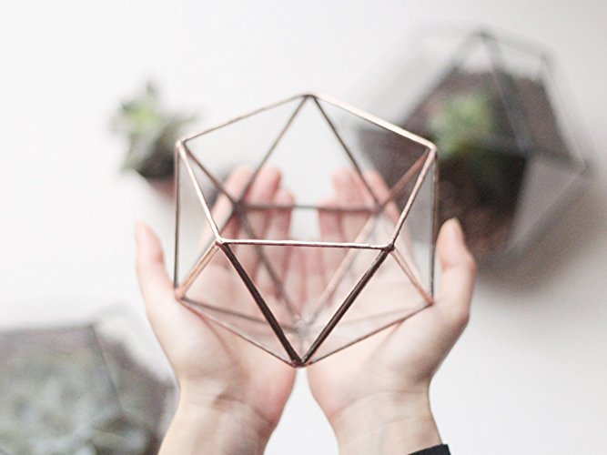 Geometric Terrarium Container