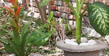 Cement Hat Flower Vase