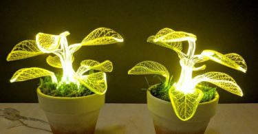 Neon Angel Plant Lamp Set