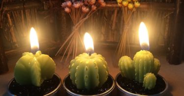 Ornerx Decorative Cactus Candles