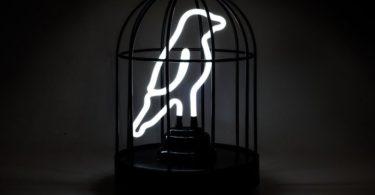 Neon Bird in a Cage