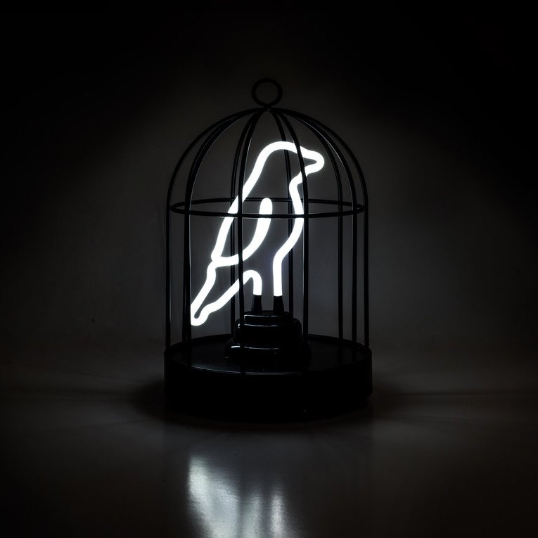 Neon Bird in a Cage