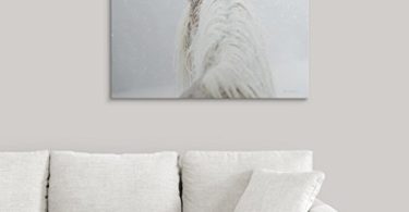 Winter Dreaming Giant Canvas Print