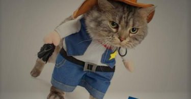 Mikayoo Pet Dog Cat Cowboy Costumes