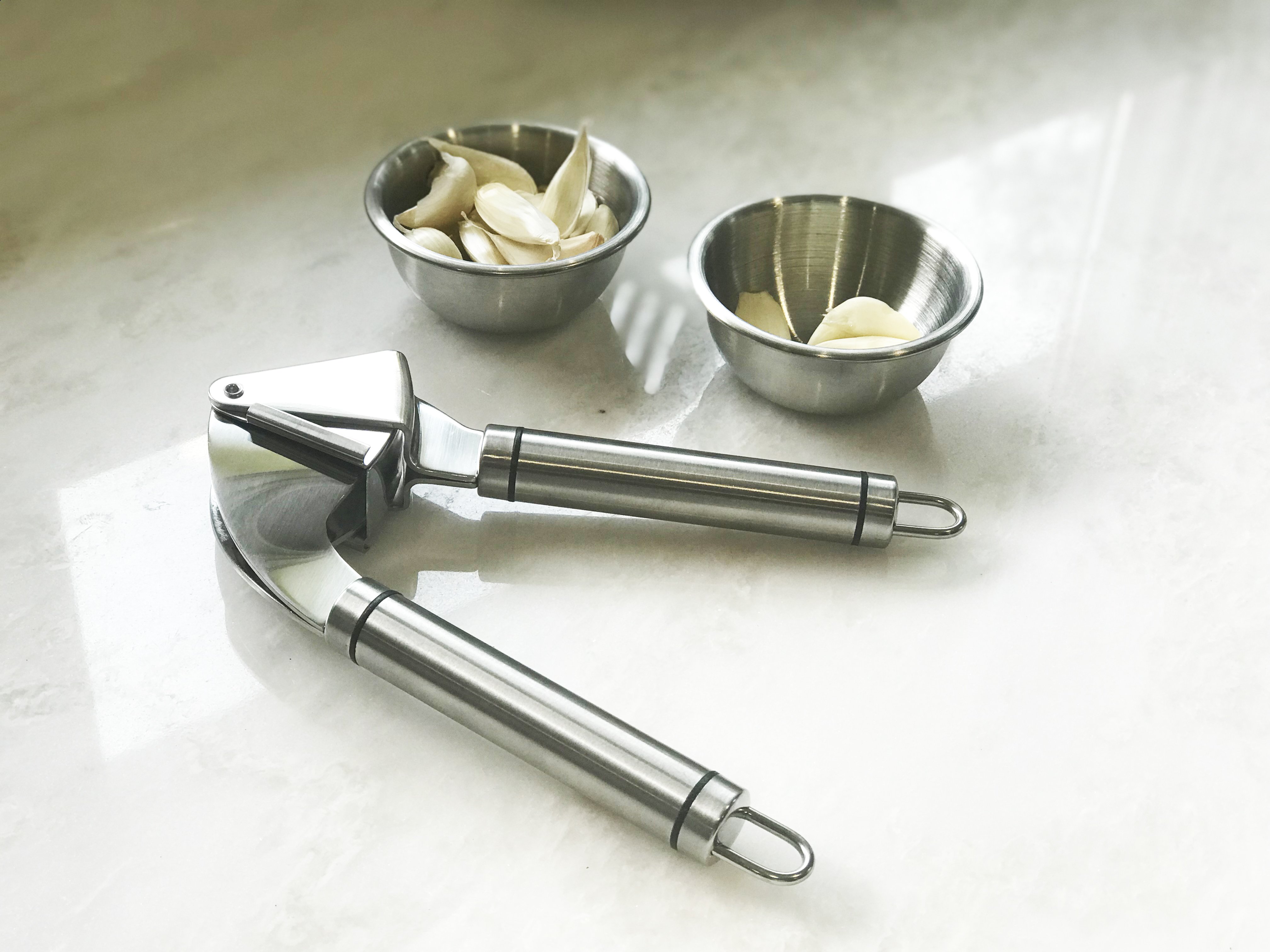 Stainless Steel Garlic Press