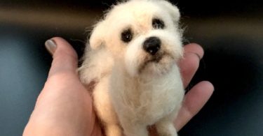 Custom Mini Needle Felted Dog